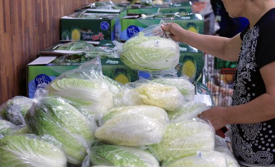 폭염·폭우에 치솟은 배추 가격