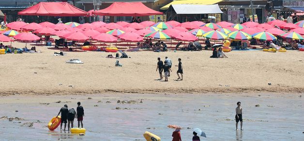 '뜨거운 햇빛을 피해 그늘로'