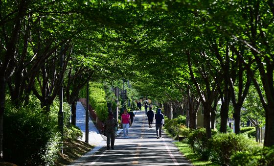 폭염에도 시원한 포항 철길 숲