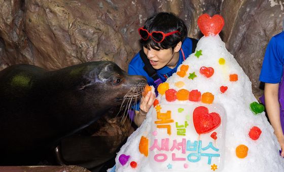 롯데월드 아쿠아리움, 복날 특식으로 시원하게 여름나는 해양생물들