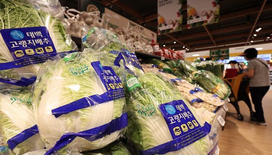 역대급 폭염·수해에 배추·상추 가격 들썩