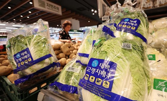 배추·상추 가격 상승에 소비자물가 악영향 우려