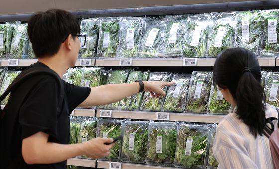 배추·상추 가격 상승에 소비자물가 악영향 우려