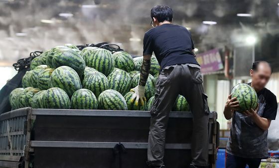 폭염과 수박
