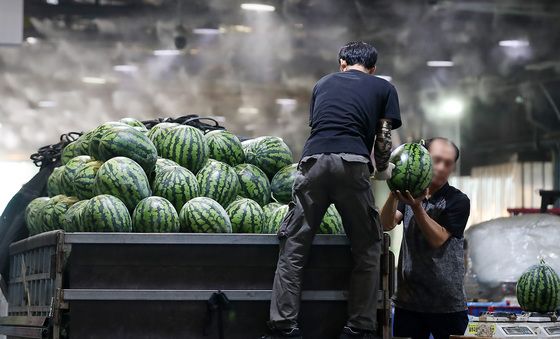 중복 앞두고 수박 하역작업 구슬땀