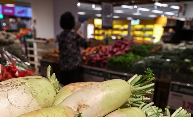 먹거리 물가 '빨간불'…상반기 무 54% '껑충'