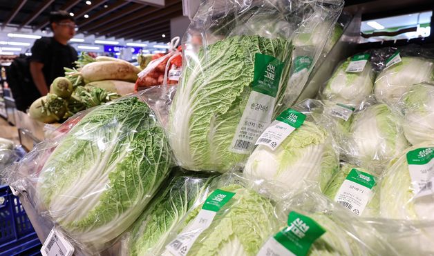 상반기 먹거리 물가 비상…배추 27% ↑