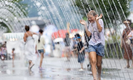 물줄기로 식혀보는 더위