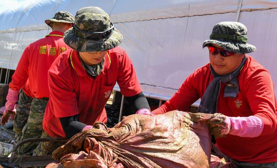 산청군 집중호우 피해 지역 복구 작전