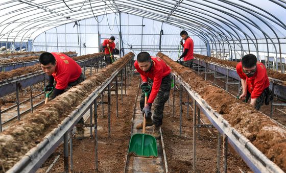 침수 복구 작전 중인 늠름한 해병대