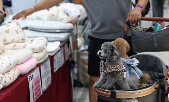 '엄마 이것도 좋아'