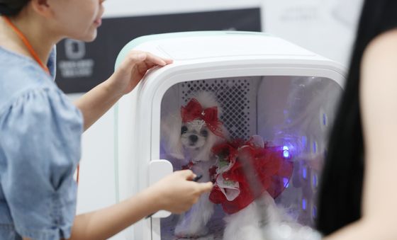 '엄마 이것도 좋아'