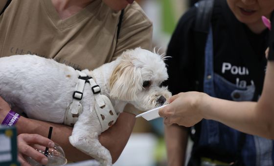 시식하는 강아지들