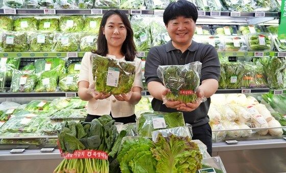 폭염에도 끄떡없는 시금치·상추·깻잎을 롯데마트에서 만나보세요