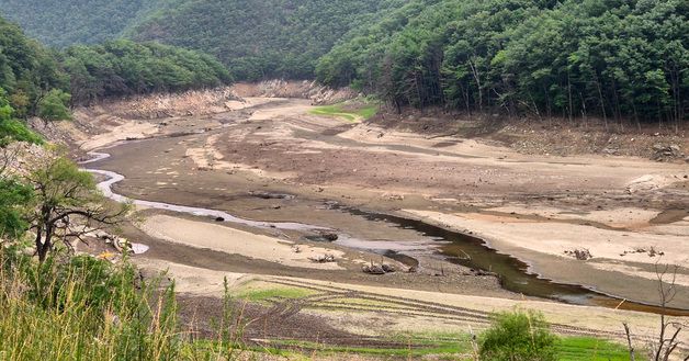 바닥 드러낸 강릉 식수원 물줄기