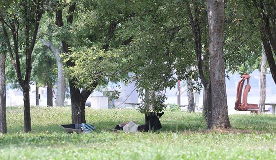 나무 그늘 아래