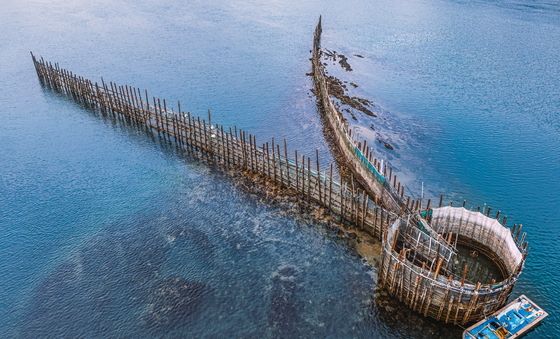 '남해 지족해협 죽방렴어업' 세계중요농업유산 등재