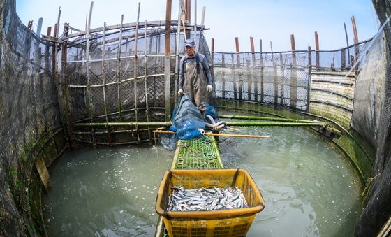 '남해 지족해협 죽방렴어업' 세계중요농업유산 등재