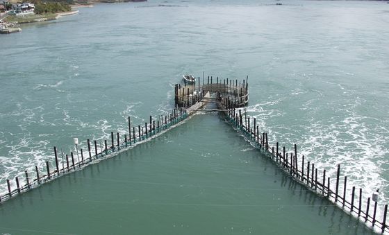 해수부, '남해 지족해협 죽방렴어업' 세계중요농업유산 등재