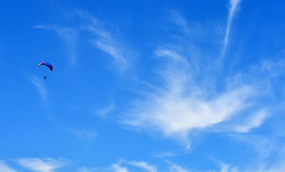 파란 하늘 배경삼아