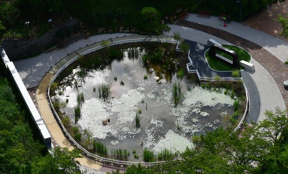 포항시청 작은 연못