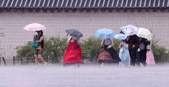 '하늘 구멍 뚫렸나'