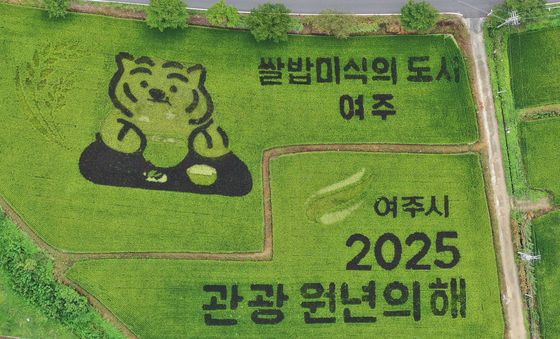여주시, 무직타이거와 함께 유색벼 캐릭터 논그림 조성