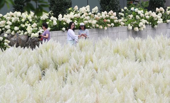 가을로 한발짝 더