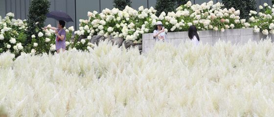 가을 맞이 시작한 제주