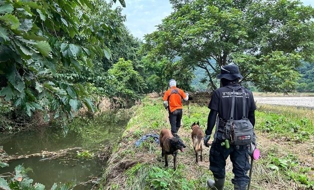 소방, 구조견 동원해 실종자 수색