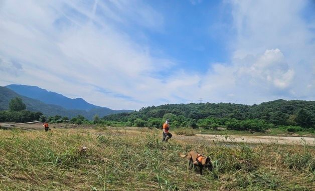 수해 실종자 수색 중인 소방대원