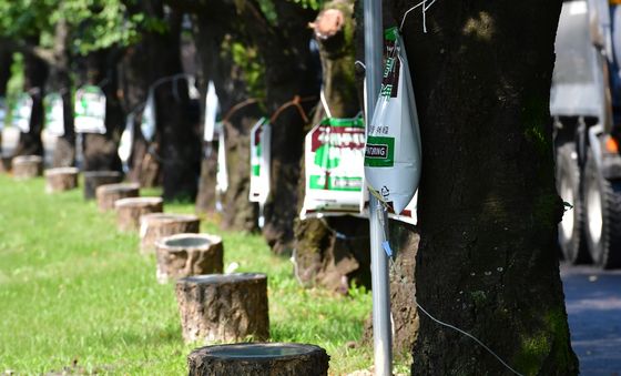 경주는 폭염 경보
