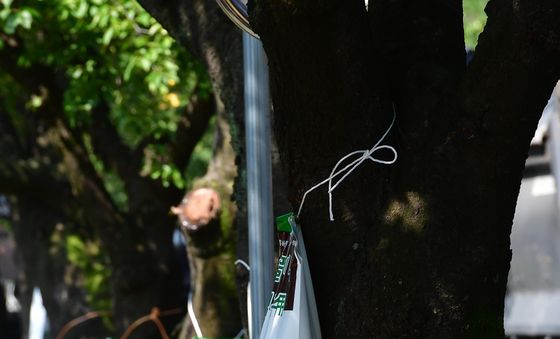 폭염 경보에 수액 처방