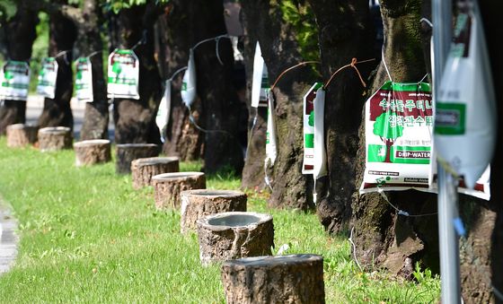 수액 처방 중입니다