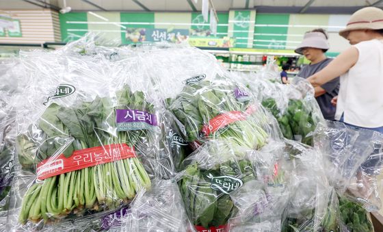 껑충 뛴 시금치 가격