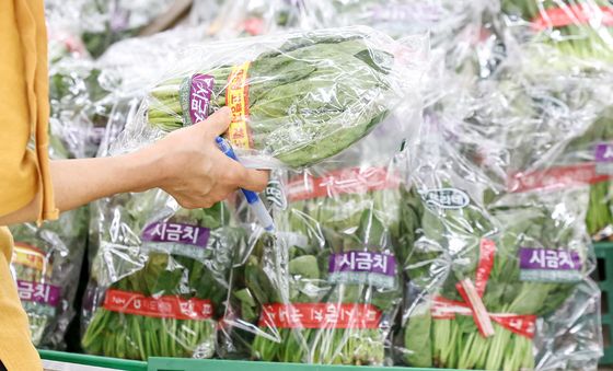 시금치 가격 '껑충'