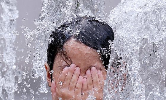 처서 앞두고도 끝나지 않는 폭염