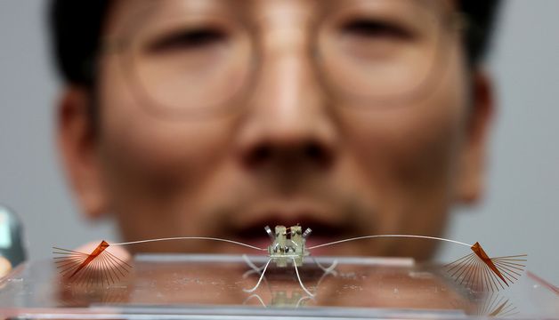국내 연구진, 라고밸리아 모사한 초소형 로봇 개발
