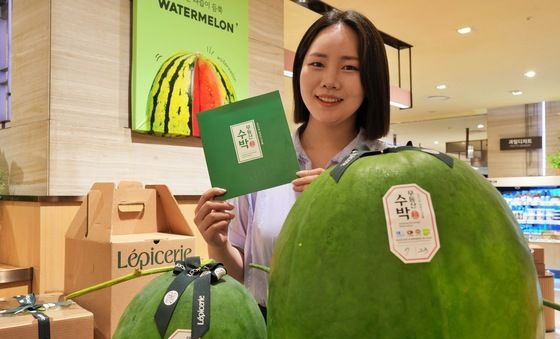 롯데百, 전국에서 제일 빨리 '무등산 수박' 선보인다