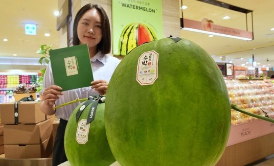 롯데百, 전국에서 제일 빨리 '무등산 수박' 선보인다