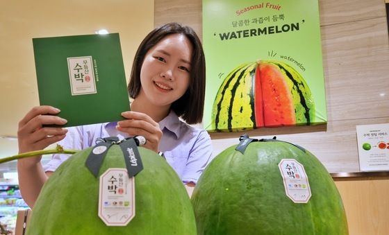 롯데百, 전국에서 제일 빨리 '무등산 수박' 선봬