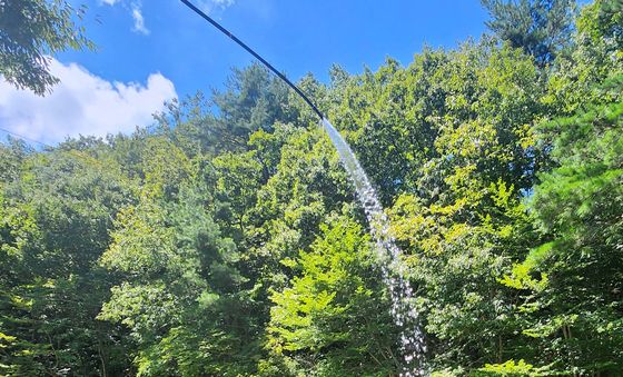 계곡에서 즐기는 시원한 물놀이