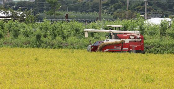 '수확의 계절이 돌아온다'