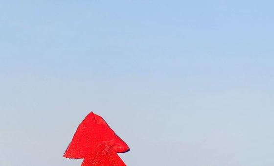 포항 인비리 암각화 공원 홍보