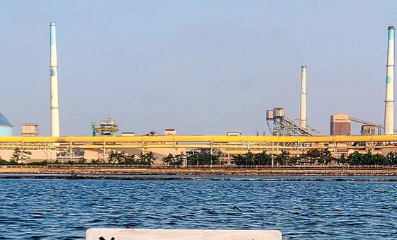 암각화 공원 홍보 퍼포먼스