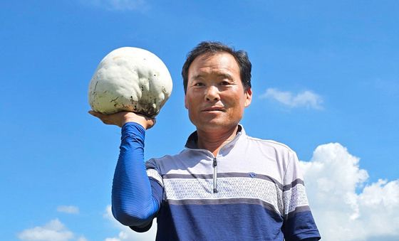 함양에서 발견된 세계적 희귀종 '댕구알 버섯'