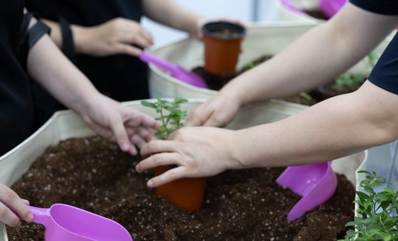 식물 심기 체험