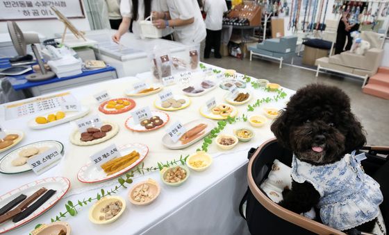 강아지 발길 잡는 시식 코너