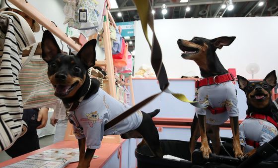 '주인님, 가을옷 한벌 부탁해요'