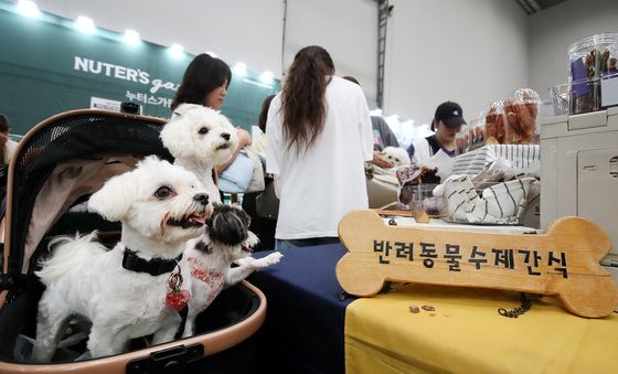 멍멍! 수제 간식은 못 참지